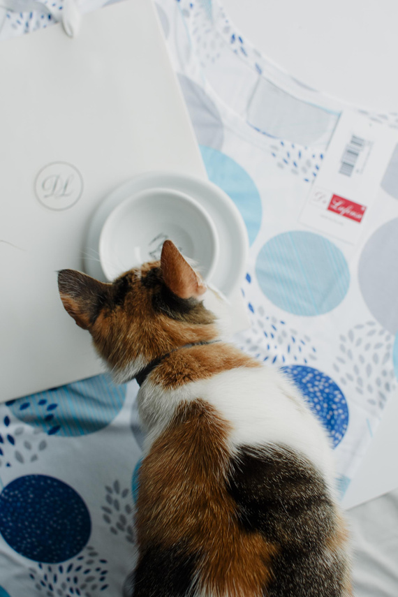 860 Noční košile Amelia De Lafense - krátký rukáv, měkká viskóza - tyrkysová