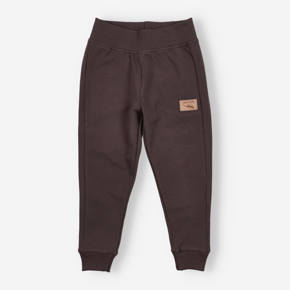 KAR-0040/BRA Teplákové kalhoty pro chlapce Lagarto Verde chocolate - pohodlné, bavlna, polská výroba