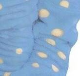 998 Motýlek Forex Dětský župan - modrý