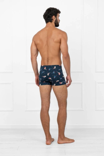 Remiz Pánské boxerky Italian Fashion - bavlna, elastan, barevný vzor