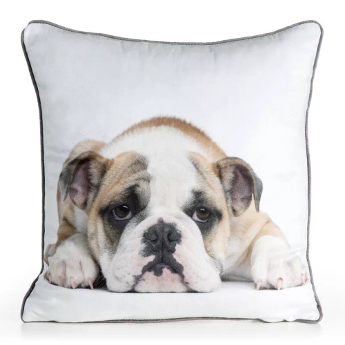 Povlak Animal 45x45 samet Eurofirany se zipem buldog 