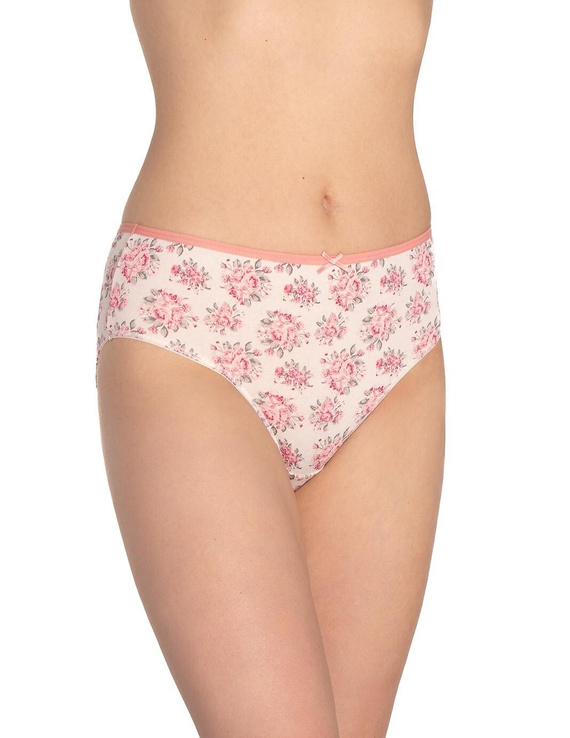 L-122BI-62 Dámské kalhotky Lama 3-pack, bavlna, klasický střih šedá ecru vínová